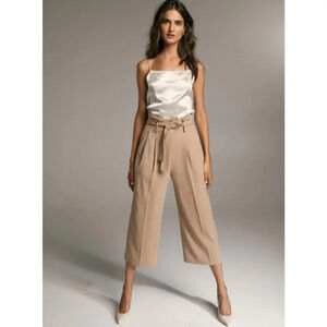 Aritizia Babaton Beige Tie Waist Belt Wide Leg Cropped Culotte‎ Trouser Pant 12